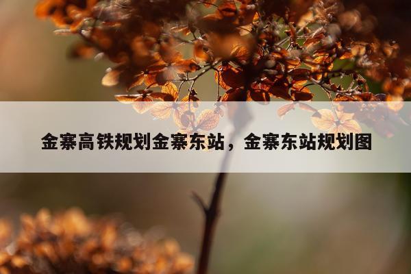 金寨高铁规划金寨东站，金寨东站规划图