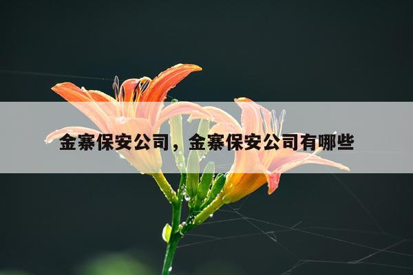 金寨保安公司，金寨保安公司有哪些