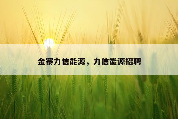 金寨力信能源，力信能源招聘