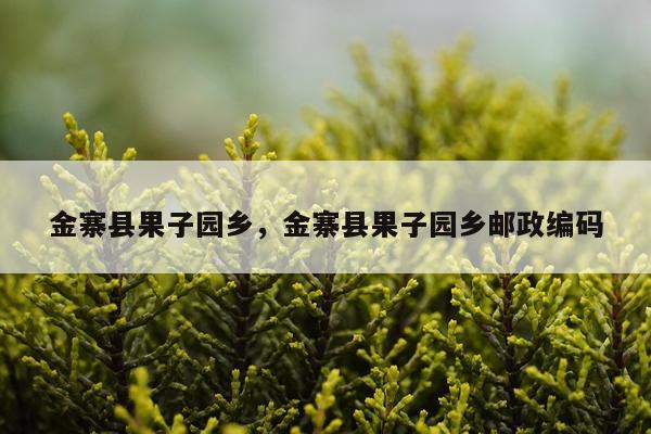 金寨县果子园乡，金寨县果子园乡邮政编码