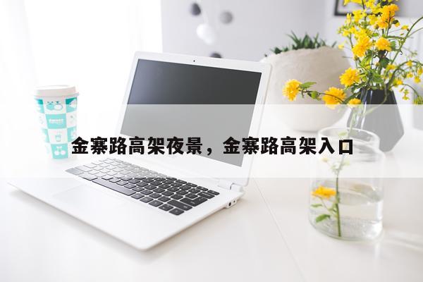 金寨路高架夜景，金寨路高架入口