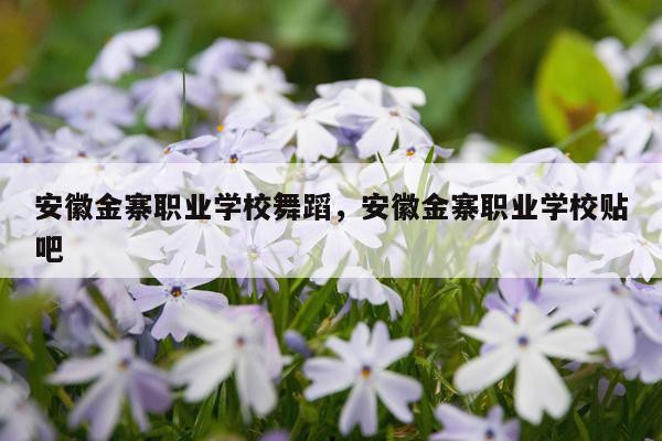 安徽金寨职业学校舞蹈，安徽金寨职业学校贴吧