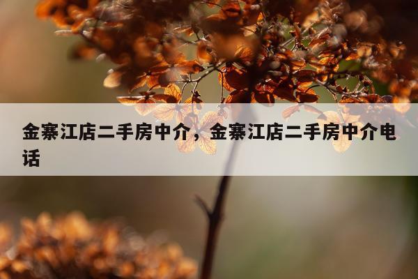 金寨江店二手房中介，金寨江店二手房中介电话
