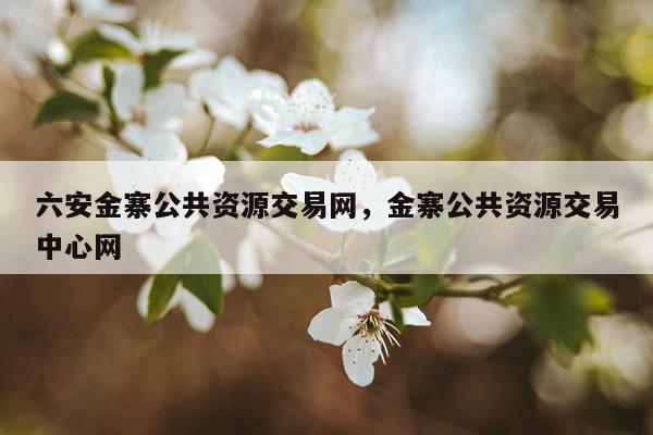六安金寨公共资源交易网，金寨公共资源交易中心网