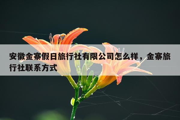 安徽金寨假日旅行社有限公司怎么样，金寨旅行社联系方式