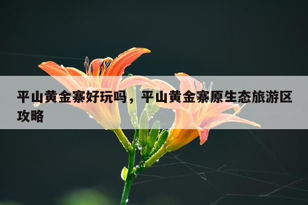 平山黄金寨好玩吗，平山黄金寨原生态旅游区攻略