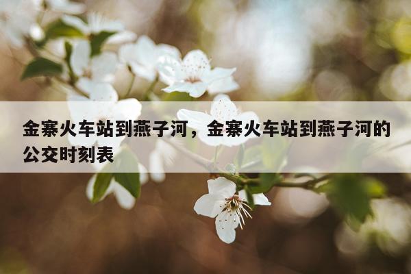 金寨火车站到燕子河，金寨火车站到燕子河的公交时刻表