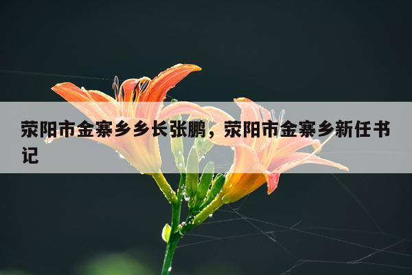 荥阳市金寨乡乡长张鹏，荥阳市金寨乡新任书记