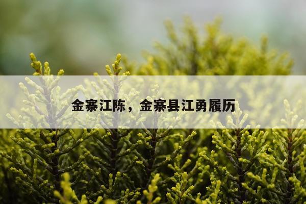 金寨江陈，金寨县江勇履历