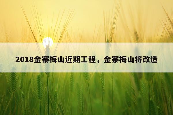 2018金寨梅山近期工程，金寨梅山将改造