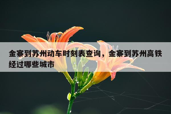 金寨到苏州动车时刻表查询，金寨到苏州高铁经过哪些城市