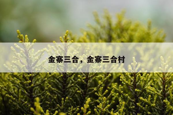 金寨三合，金寨三合村