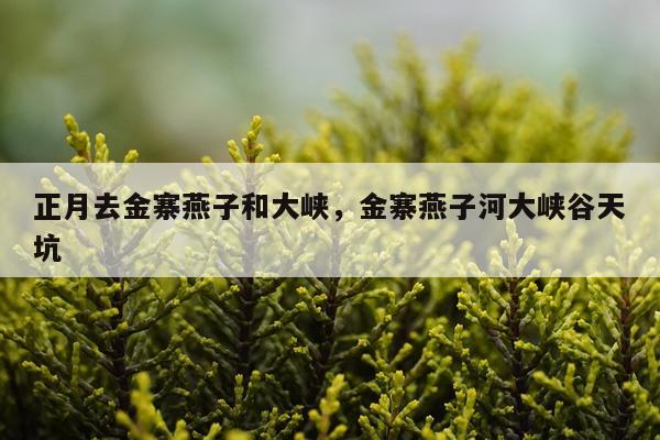 正月去金寨燕子和大峡，金寨燕子河大峡谷天坑
