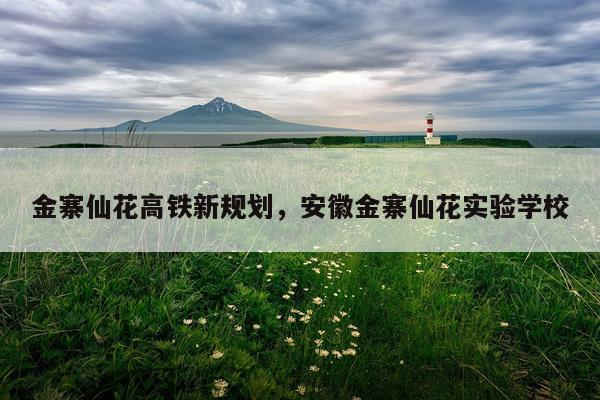 金寨仙花高铁新规划，安徽金寨仙花实验学校