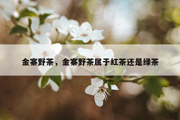 金寨野茶，金寨野茶属于红茶还是绿茶