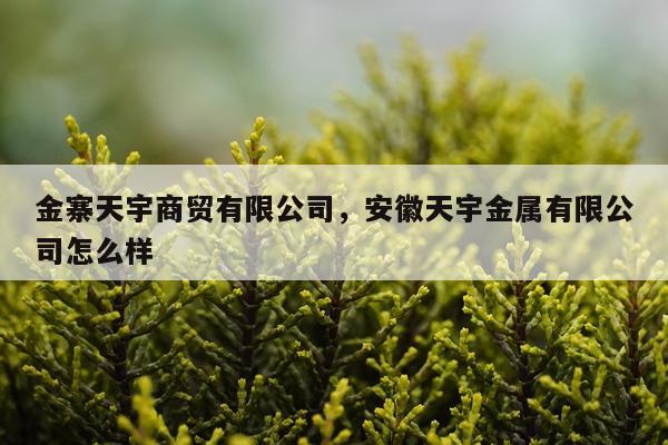 金寨天宇商贸有限公司，安徽天宇金属有限公司怎么样