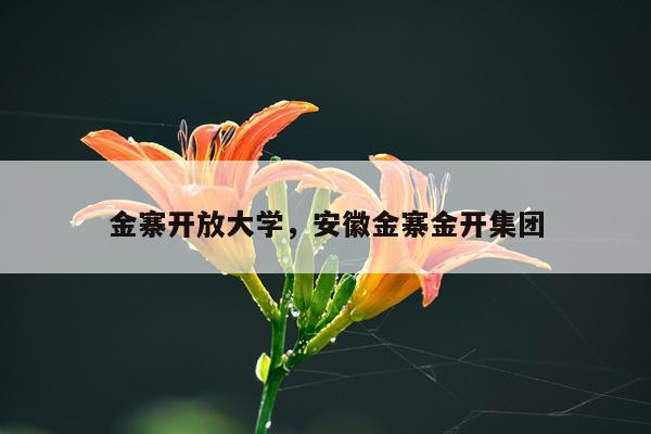 金寨开放大学，安徽金寨金开集团