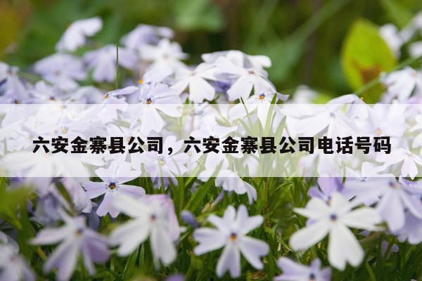 六安金寨县公司，六安金寨县公司电话号码