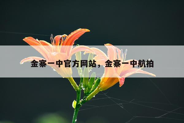 金寨一中官方网站，金寨一中航拍